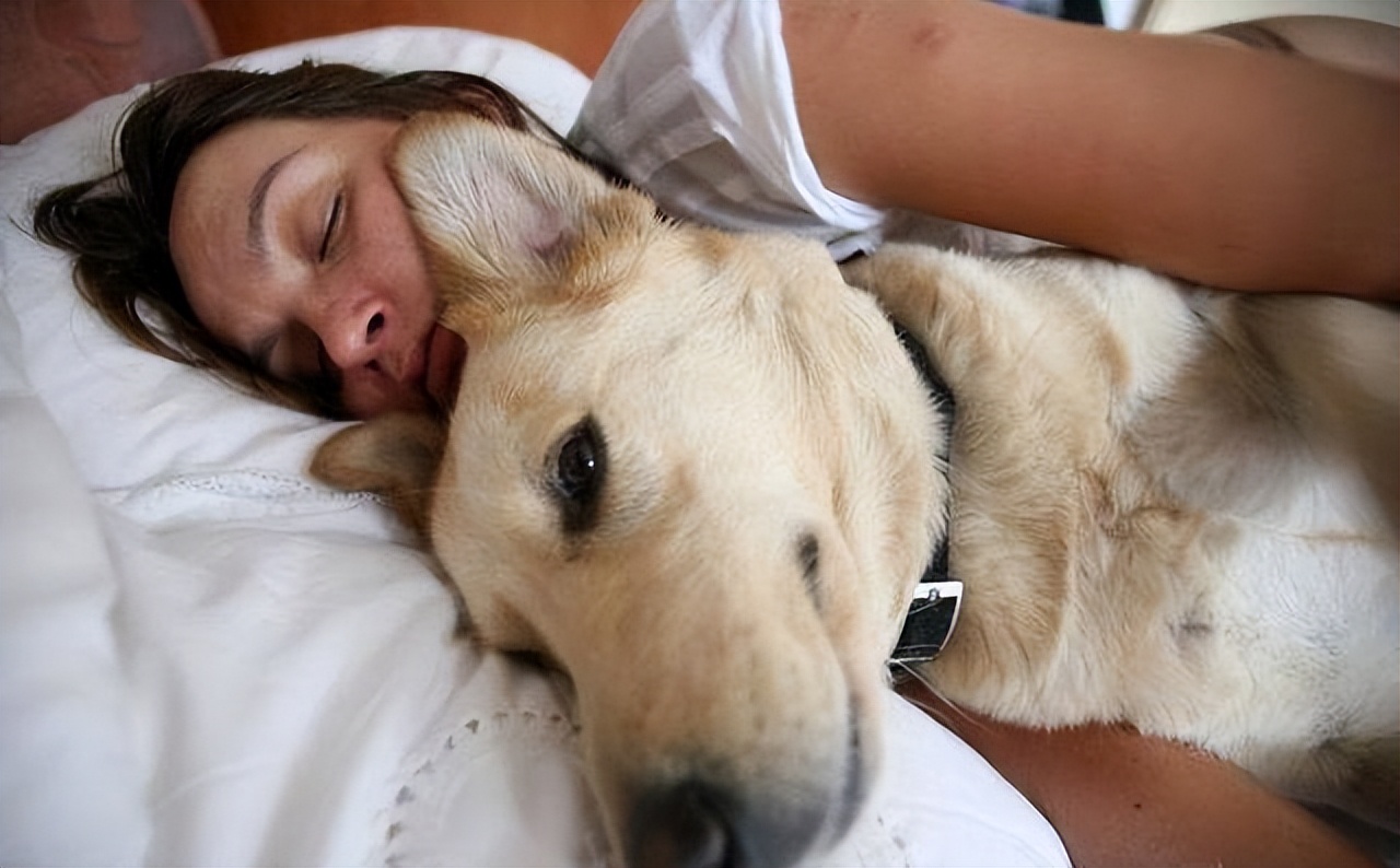 宠物狗被主人“捧在手心”长大,有些表现骗不了人休闲区蓝鸢梦想 - Www.slyday.coM 宠物狗被主人“捧在手心”长大,有些表现骗不了人休闲区蓝鸢梦想 - Www.slyday.coM