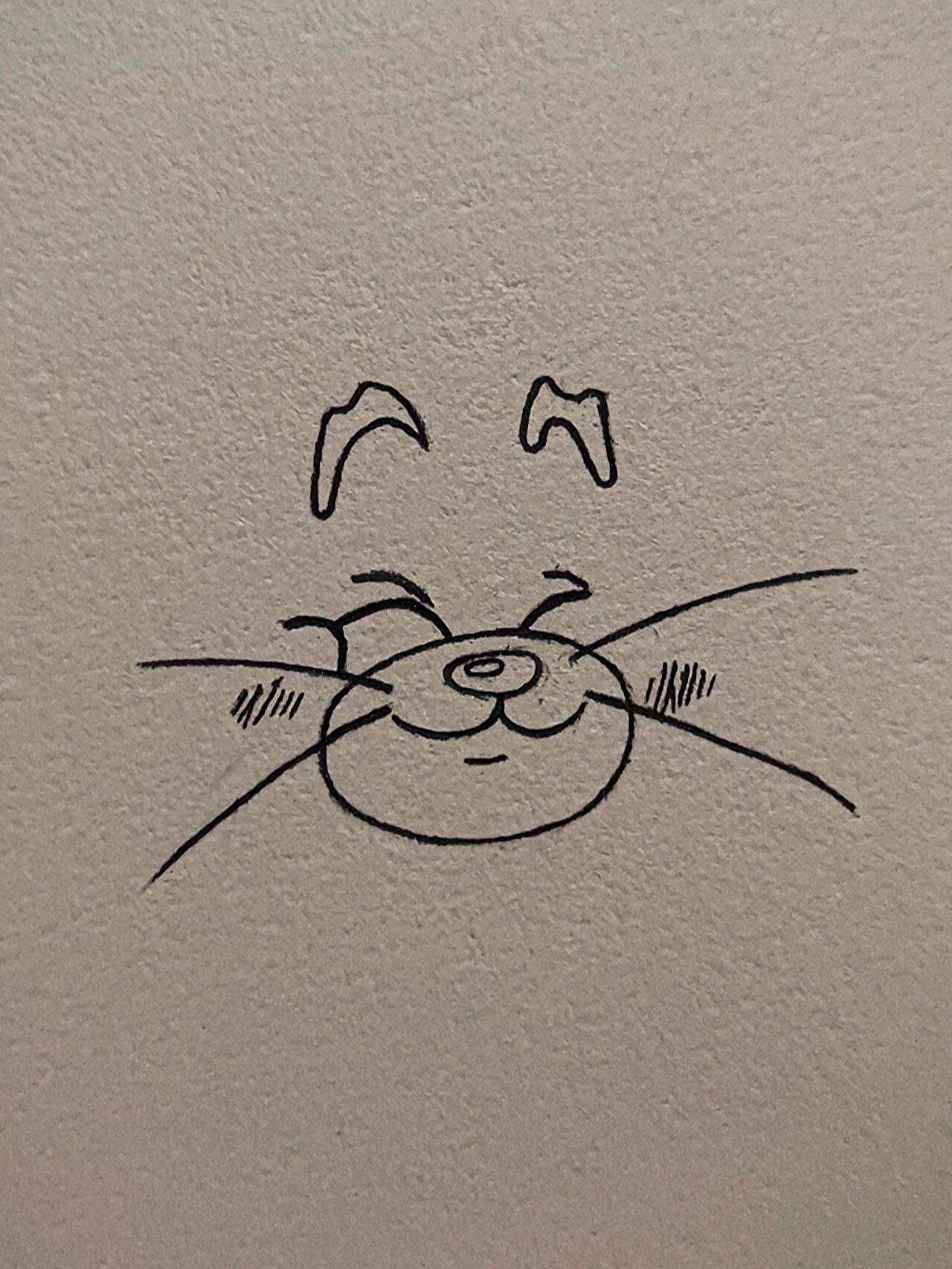 一期汤姆简笔画