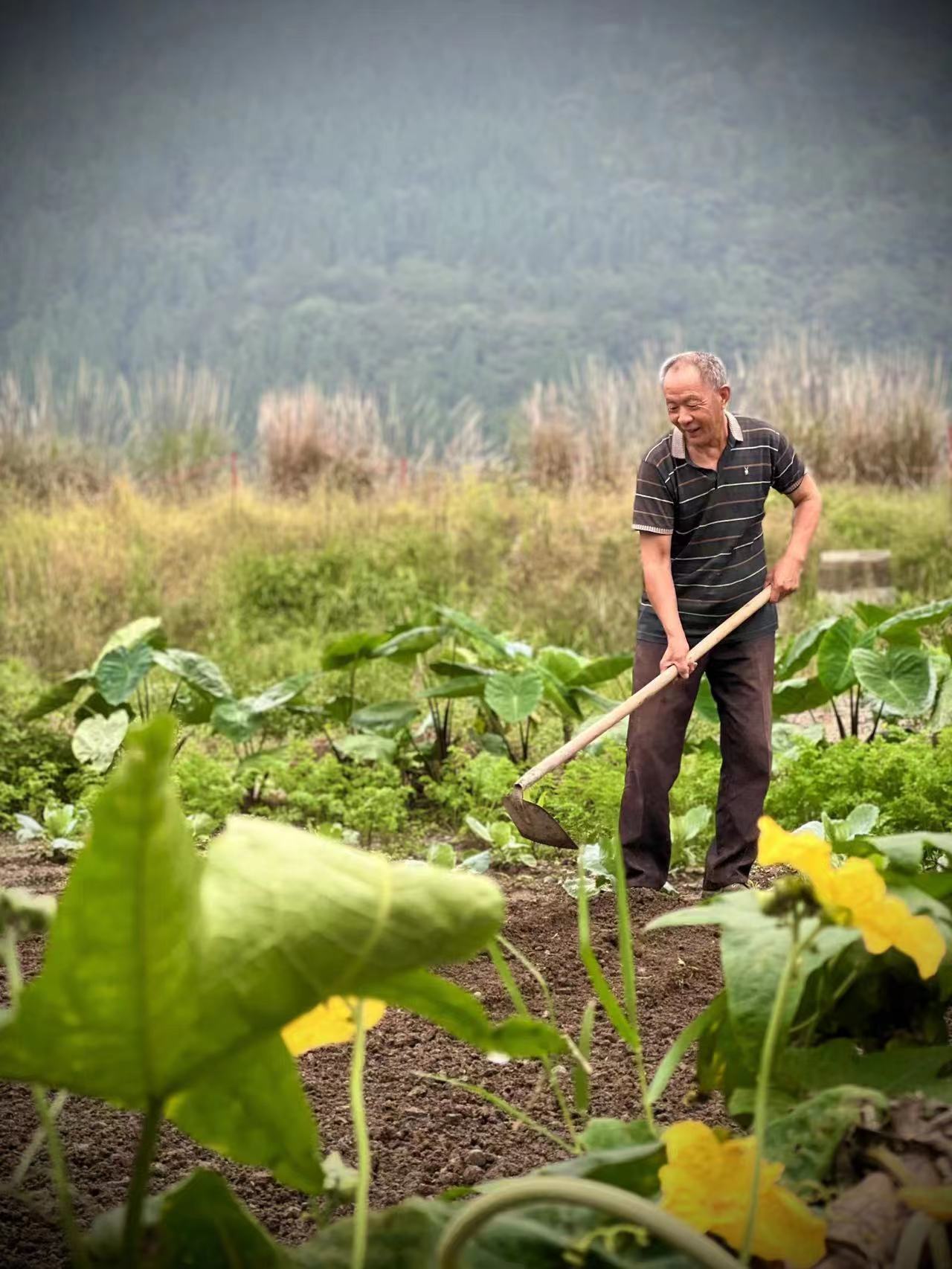 广元的爷爷奶奶在自家门口种地到了春天田园生活真幸福