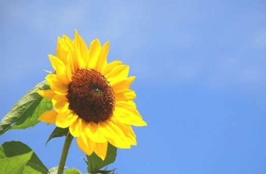 喜欢“唠叨”的三位生肖女，经常把丈夫气到哭，却被丈夫疼爱休闲区蓝鸢梦想 - Www.slyday.coM