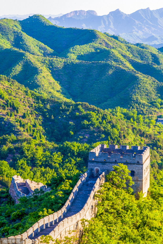 承德初夏 金山岭长城绿意盎然|承德市|金山岭长城|河北省_新浪新闻