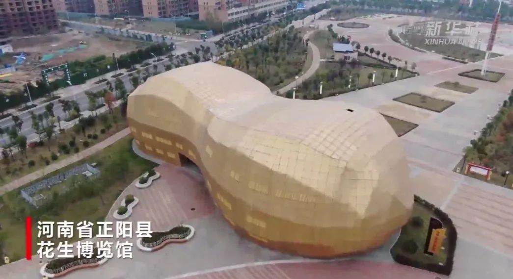 走进河南省驻马店市正阳县,如同置身"花生王国"——花生公园,花生大道