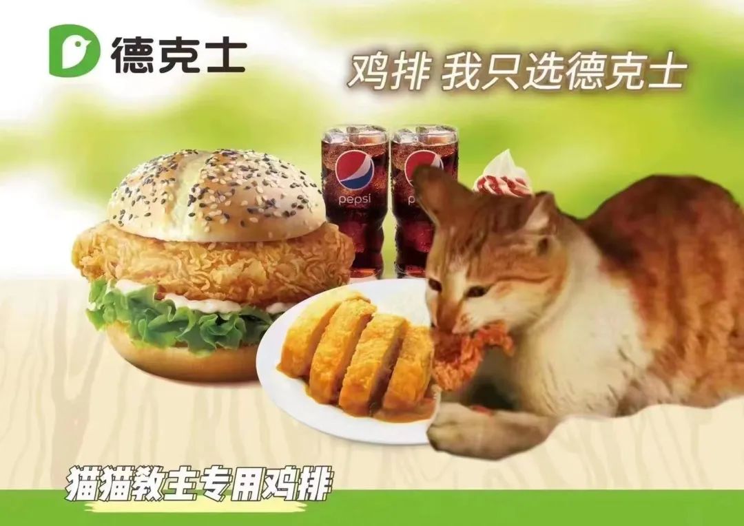 交大博士未戴手套逗猫被处分？校方回应！因疫情走红的“鸡排猫”被租客虐杀？警方介入！休闲区蓝鸢梦想 - Www.slyday.coM