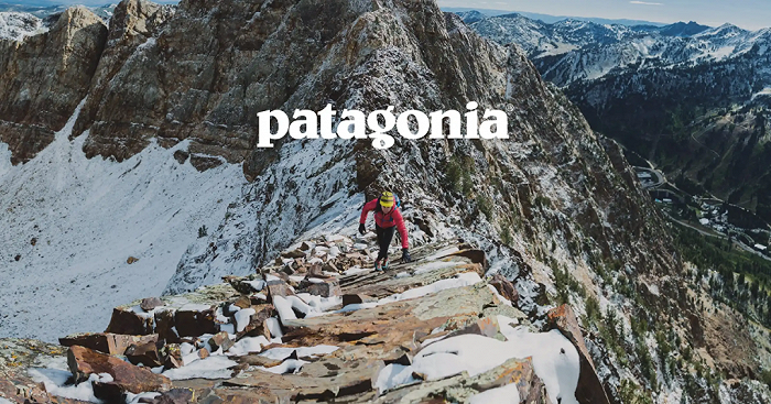 500个品牌分析patagonia价值观引领品牌哲学