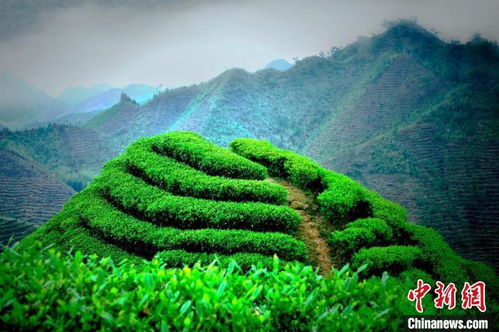 粤桂联手打造珠江上游金秀大瑶山绿色银行