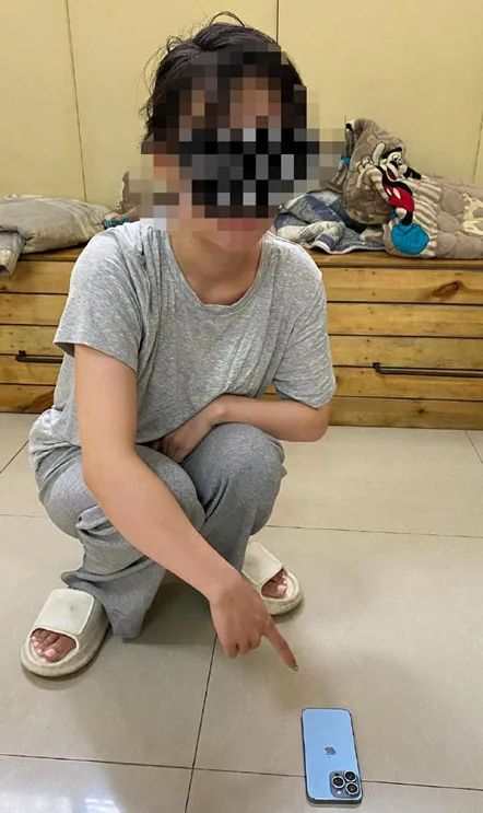 目前,叶某因涉嫌盗窃罪,已被采取拘留强制措施,案件正在进一步侦办中.