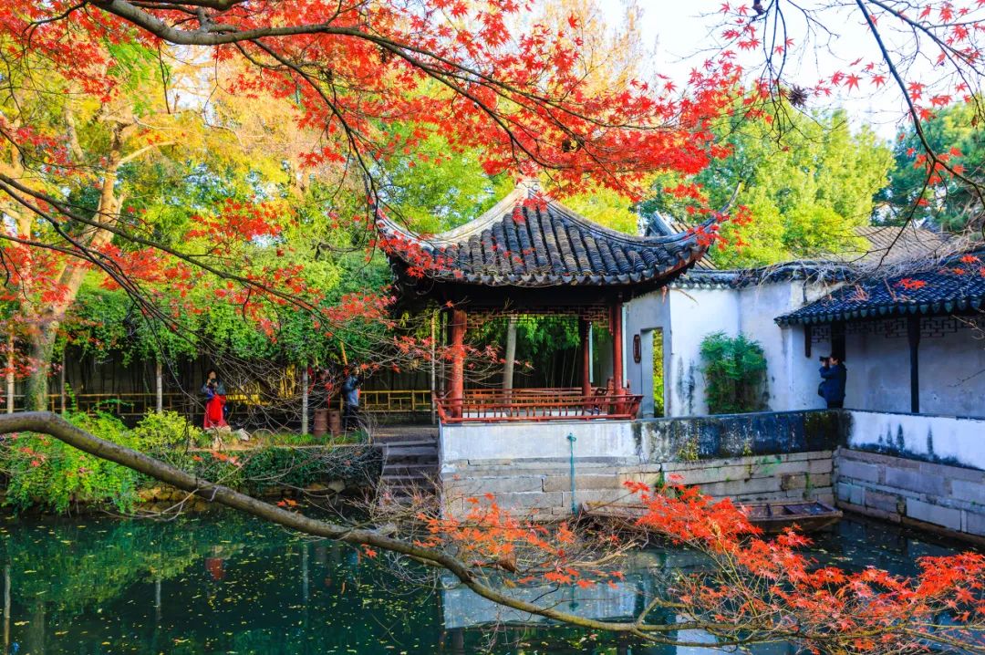 古往今来听雨轩的芭蕉,玉兰堂的玉兰如远香堂的荷,倚玉轩的竹是如此的