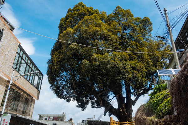 叫水坑村,被森林包裹的“仙境小村”,来到潮州一定要看看休闲区蓝鸢梦想 - Www.slyday.coM 叫水坑村,被森林包裹的“仙境小村”,来到潮州一定要看看休闲区蓝鸢梦想 - Www.slyday.coM