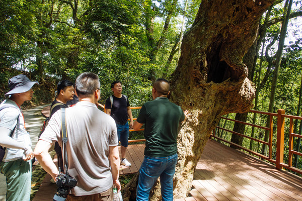 叫水坑村,被森林包裹的“仙境小村”,来到潮州一定要看看休闲区蓝鸢梦想 - Www.slyday.coM 叫水坑村,被森林包裹的“仙境小村”,来到潮州一定要看看休闲区蓝鸢梦想 - Www.slyday.coM