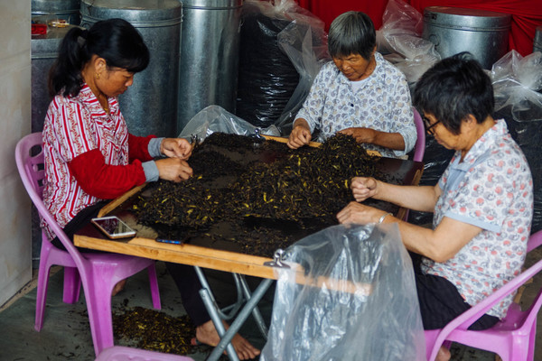 叫水坑村,被森林包裹的“仙境小村”,来到潮州一定要看看休闲区蓝鸢梦想 - Www.slyday.coM 叫水坑村,被森林包裹的“仙境小村”,来到潮州一定要看看休闲区蓝鸢梦想 - Www.slyday.coM