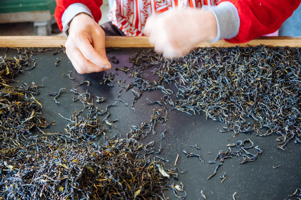 叫水坑村,被森林包裹的“仙境小村”,来到潮州一定要看看休闲区蓝鸢梦想 - Www.slyday.coM 叫水坑村,被森林包裹的“仙境小村”,来到潮州一定要看看休闲区蓝鸢梦想 - Www.slyday.coM