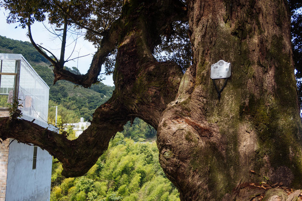 叫水坑村,被森林包裹的“仙境小村”,来到潮州一定要看看休闲区蓝鸢梦想 - Www.slyday.coM 叫水坑村,被森林包裹的“仙境小村”,来到潮州一定要看看休闲区蓝鸢梦想 - Www.slyday.coM