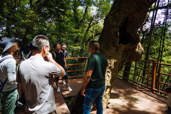 叫水坑村,被森林包裹的“仙境小村”,来到潮州一定要看看休闲区蓝鸢梦想 - Www.slyday.coM 叫水坑村,被森林包裹的“仙境小村”,来到潮州一定要看看休闲区蓝鸢梦想 - Www.slyday.coM