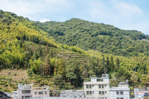 叫水坑村,被森林包裹的“仙境小村”,来到潮州一定要看看休闲区蓝鸢梦想 - Www.slyday.coM 叫水坑村,被森林包裹的“仙境小村”,来到潮州一定要看看休闲区蓝鸢梦想 - Www.slyday.coM