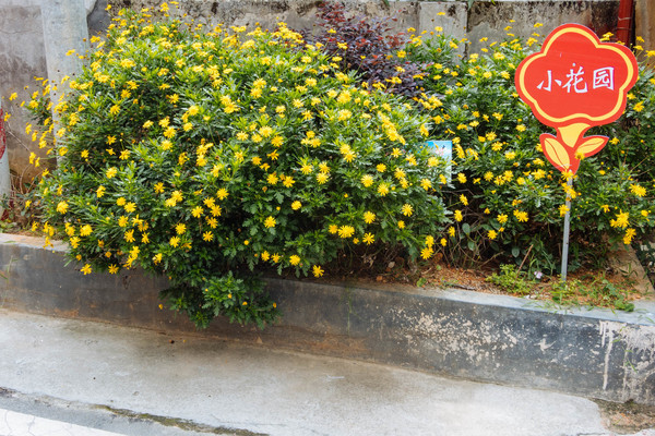 叫水坑村,被森林包裹的“仙境小村”,来到潮州一定要看看休闲区蓝鸢梦想 - Www.slyday.coM 叫水坑村,被森林包裹的“仙境小村”,来到潮州一定要看看休闲区蓝鸢梦想 - Www.slyday.coM