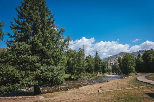 新疆旅行：追寻牧羊人的歌声，我们遇见了一片超美白桦林休闲区蓝鸢梦想 - Www.slyday.coM