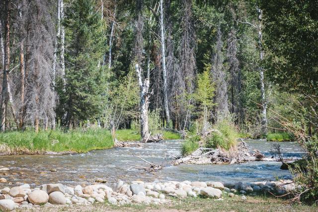 新疆旅行：追寻牧羊人的歌声，我们遇见了一片超美白桦林休闲区蓝鸢梦想 - Www.slyday.coM