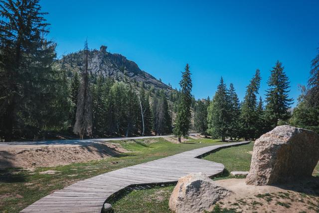 新疆旅行：追寻牧羊人的歌声，我们遇见了一片超美白桦林休闲区蓝鸢梦想 - Www.slyday.coM