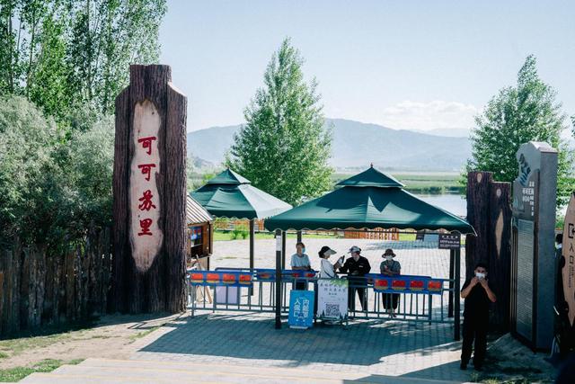 新疆旅行：追寻牧羊人的歌声，我们遇见了一片超美白桦林休闲区蓝鸢梦想 - Www.slyday.coM