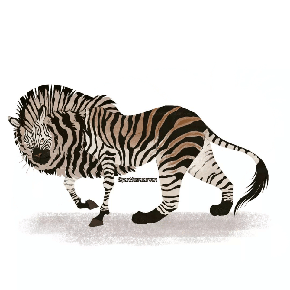 分享一组有趣的动物插画 两两结合,创意满满～ 动物插画