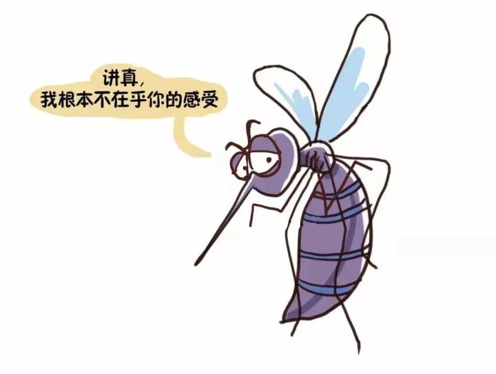 原来蚊子是这样在黑夜中找到我们的，幸好消灭有了新方法休闲区蓝鸢梦想 - Www.slyday.coM