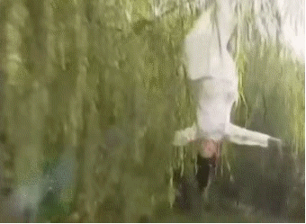 肖战、杨洋、陈伟霆、任嘉伦、钟汉良、郑业成谁的吻戏让你尖叫？休闲区蓝鸢梦想 - Www.slyday.coM