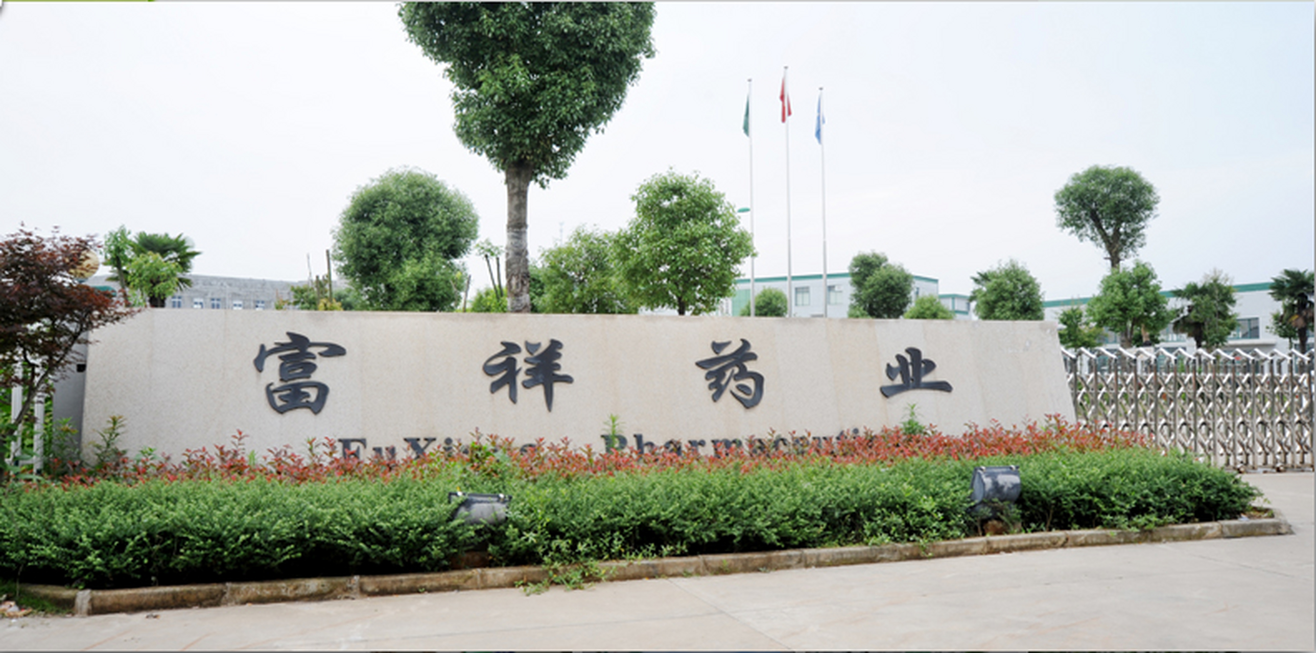 投资亏损漩涡中的富祥药业__财经头条