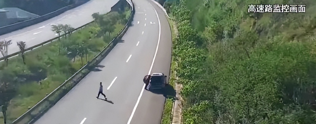 西安行车道上的枇杷硕果累累，为何宁愿销毁，也不让人采摘？休闲区蓝鸢梦想 - Www.slyday.coM