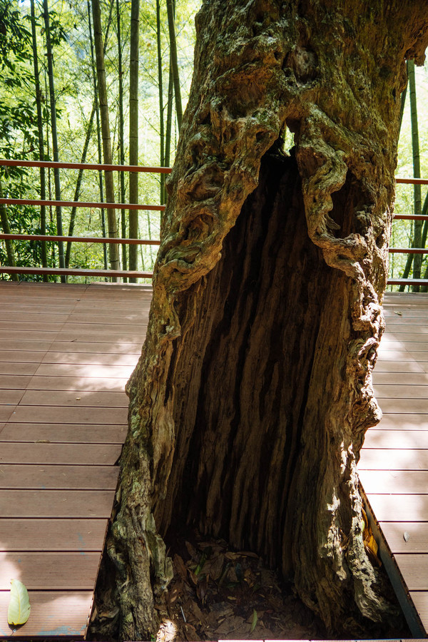 叫水坑村,被森林包裹的“仙境小村”,来到潮州一定要看看休闲区蓝鸢梦想 - Www.slyday.coM 叫水坑村,被森林包裹的“仙境小村”,来到潮州一定要看看休闲区蓝鸢梦想 - Www.slyday.coM