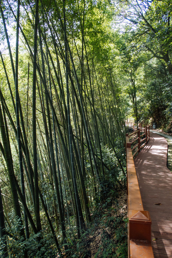 叫水坑村,被森林包裹的“仙境小村”,来到潮州一定要看看休闲区蓝鸢梦想 - Www.slyday.coM 叫水坑村,被森林包裹的“仙境小村”,来到潮州一定要看看休闲区蓝鸢梦想 - Www.slyday.coM