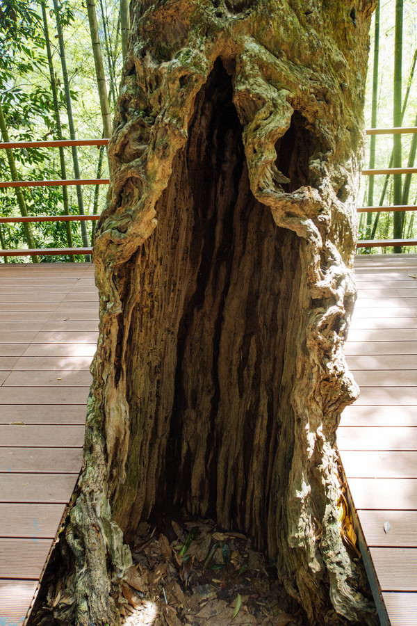 叫水坑村,被森林包裹的“仙境小村”,来到潮州一定要看看休闲区蓝鸢梦想 - Www.slyday.coM 叫水坑村,被森林包裹的“仙境小村”,来到潮州一定要看看休闲区蓝鸢梦想 - Www.slyday.coM
