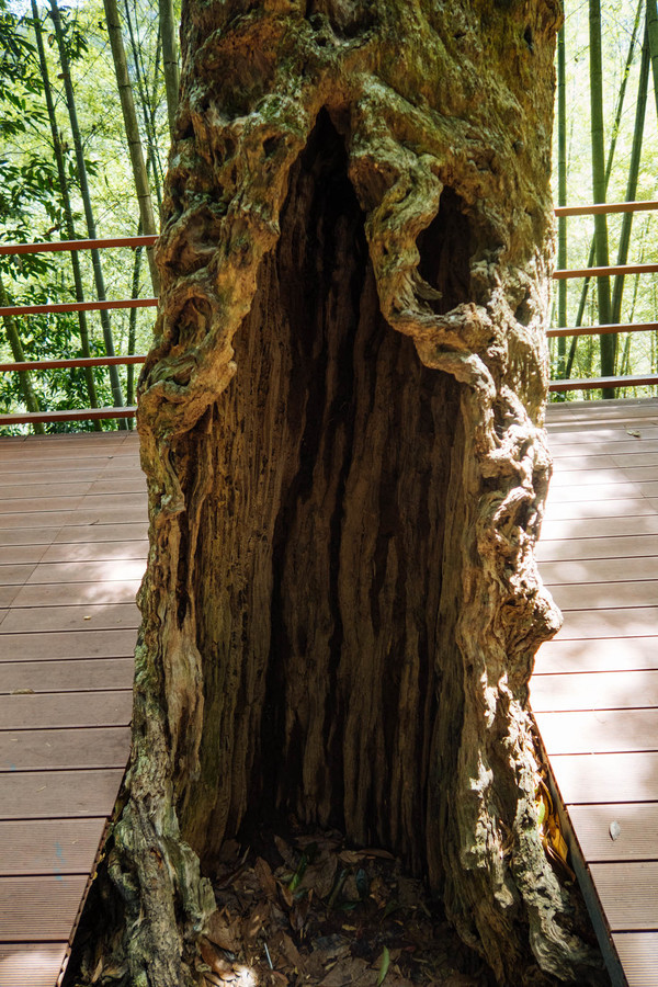 叫水坑村,被森林包裹的“仙境小村”,来到潮州一定要看看休闲区蓝鸢梦想 - Www.slyday.coM 叫水坑村,被森林包裹的“仙境小村”,来到潮州一定要看看休闲区蓝鸢梦想 - Www.slyday.coM