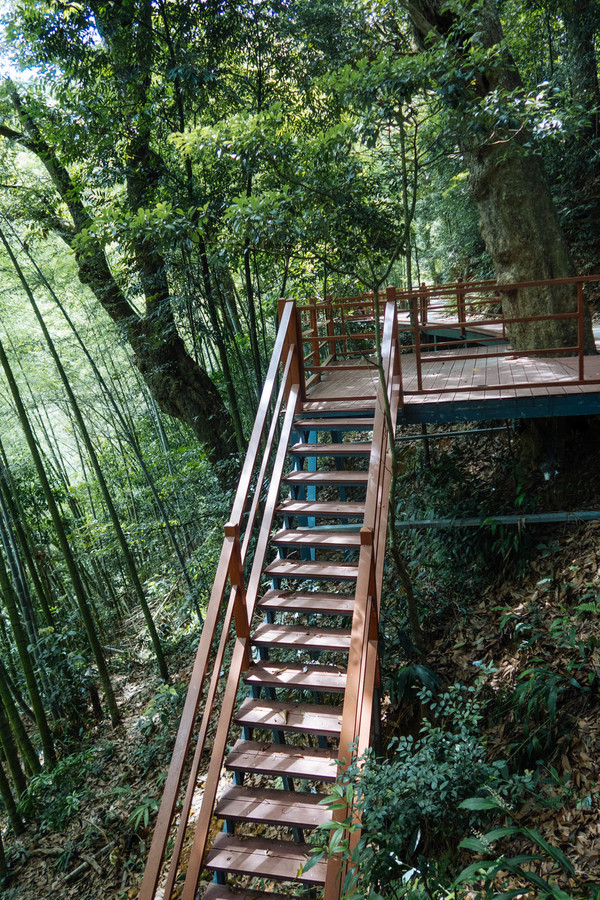 叫水坑村,被森林包裹的“仙境小村”,来到潮州一定要看看休闲区蓝鸢梦想 - Www.slyday.coM 叫水坑村,被森林包裹的“仙境小村”,来到潮州一定要看看休闲区蓝鸢梦想 - Www.slyday.coM