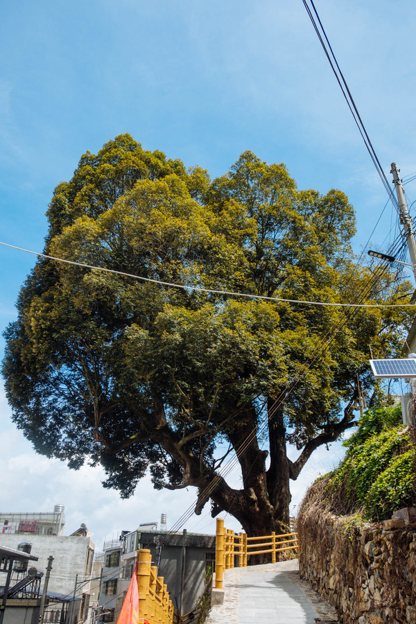 叫水坑村,被森林包裹的“仙境小村”,来到潮州一定要看看休闲区蓝鸢梦想 - Www.slyday.coM 叫水坑村,被森林包裹的“仙境小村”,来到潮州一定要看看休闲区蓝鸢梦想 - Www.slyday.coM
