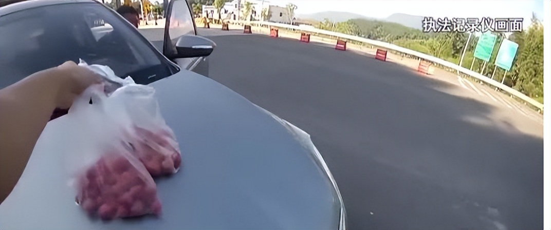 西安行车道上的枇杷硕果累累，为何宁愿销毁，也不让人采摘？休闲区蓝鸢梦想 - Www.slyday.coM