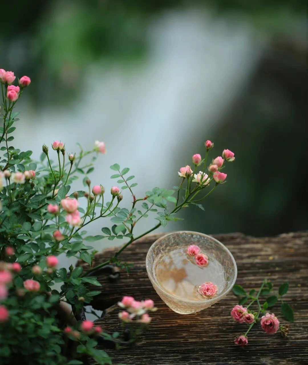 山中何事松花酿酒春水煎茶