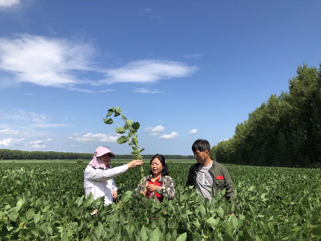 “豆大”的事儿，她一干就是37年