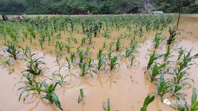 云南丘北连日暴雨已致4死4失联，村民：断水断电，积水已到腰部休闲区蓝鸢梦想 - Www.slyday.coM
