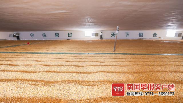 进口前的黑科技7米深的仓库怎么保证粮食不变质丨粮仓里的学问