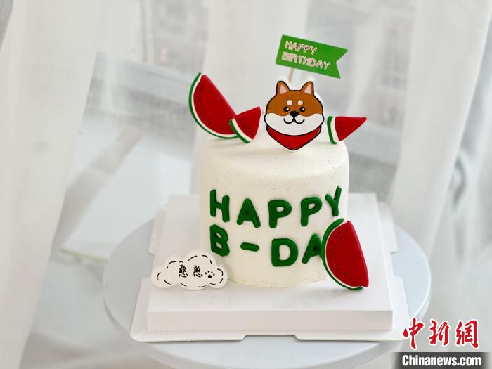 “它经济”正热  这届年轻人为什么那么喜欢宠物？休闲区蓝鸢梦想 - Www.slyday.coM