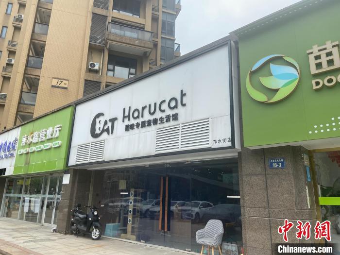 “它经济”正热  这届年轻人为什么那么喜欢宠物？休闲区蓝鸢梦想 - Www.slyday.coM