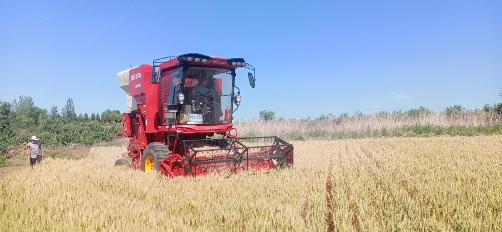 临朐柳山稳面积提产能：粮田变多了 村民活少了休闲区蓝鸢梦想 - Www.slyday.coM