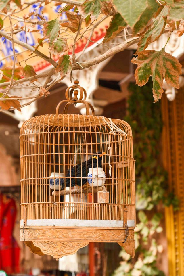 为什么说“不到喀什，不算到新疆”？来这儿也许你就能找到答案！休闲区蓝鸢梦想 - Www.slyday.coM