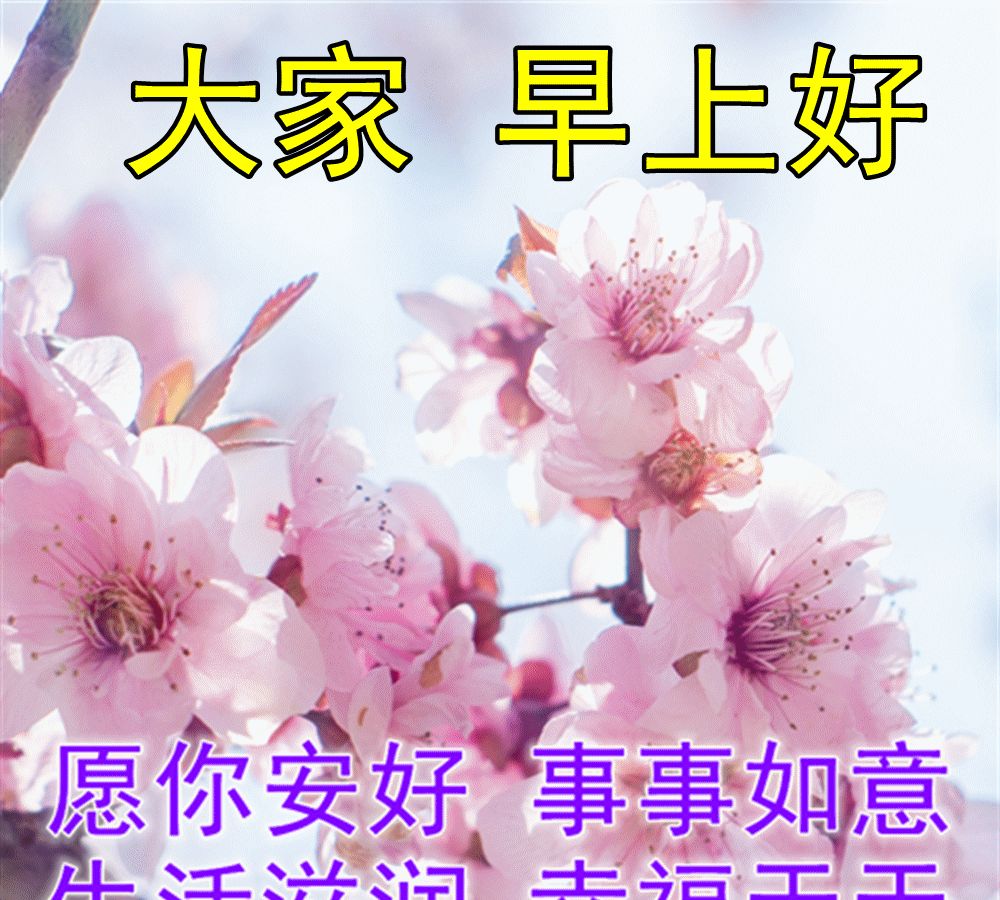 早上好发朋友圈动态祝福图片大全,特漂亮的早安问候表情图片__财经