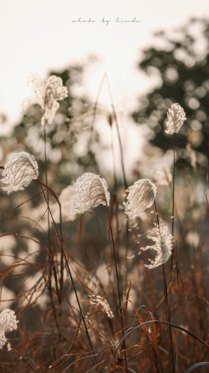 乍暖还寒时候最难将息
