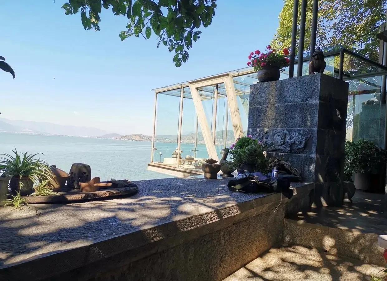 63岁杨丽萍在大理的豪宅火了网友这生活简直就是人间理想