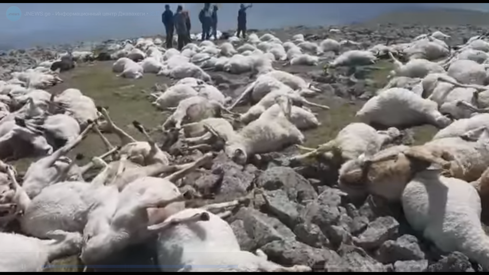 挖虫草避雨被闪电击中：7位村民遭雷击身亡！遭遇雷暴该怎么办？休闲区蓝鸢梦想 - Www.slyday.coM