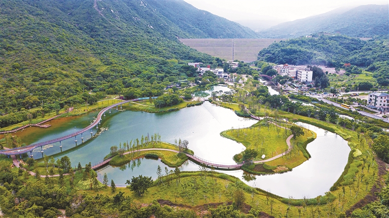 大鹏首个湿地公园即将开园
