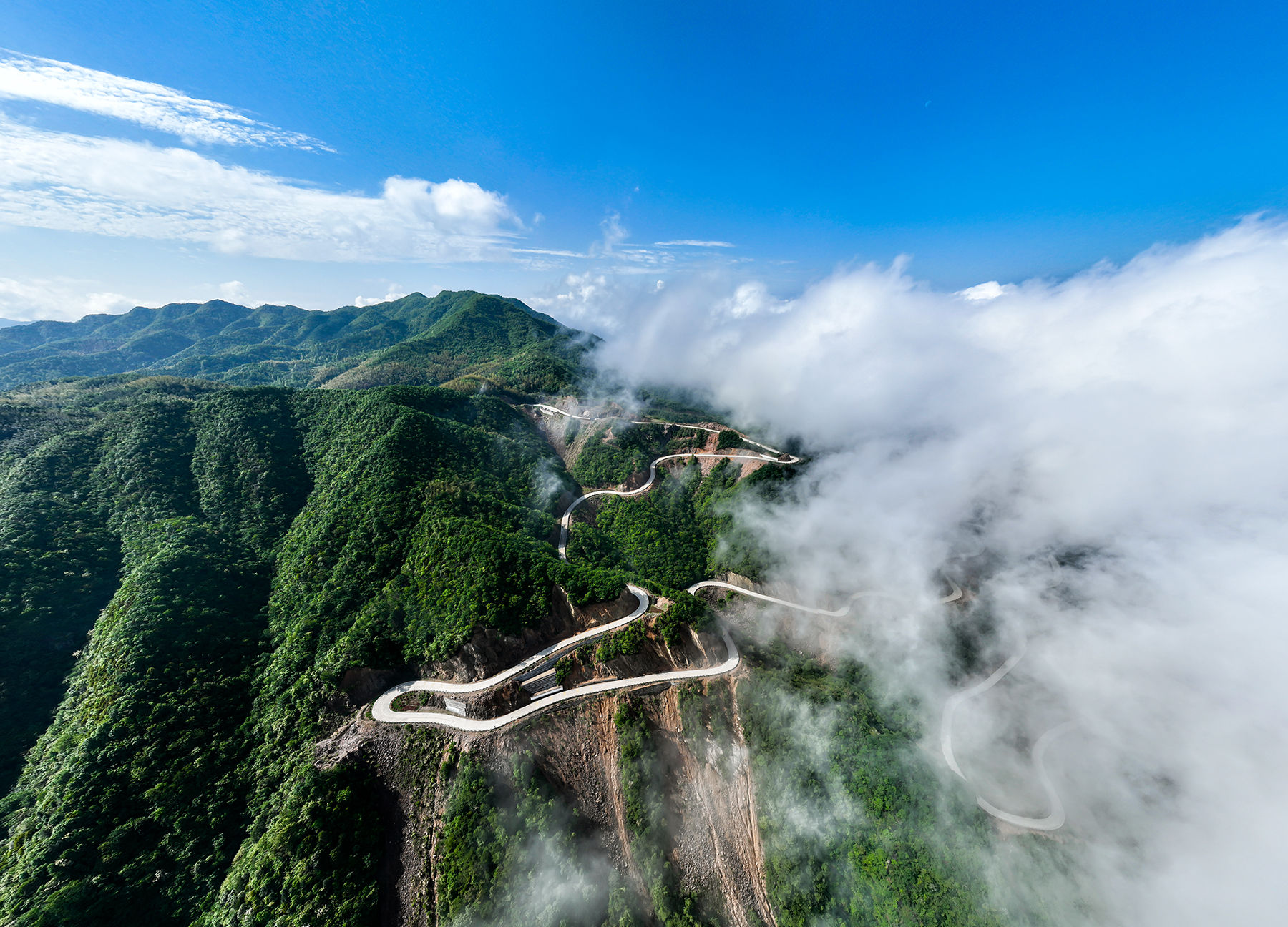 一条路,串起大别山老区"红"与"绿"|利物浦_新浪新闻
