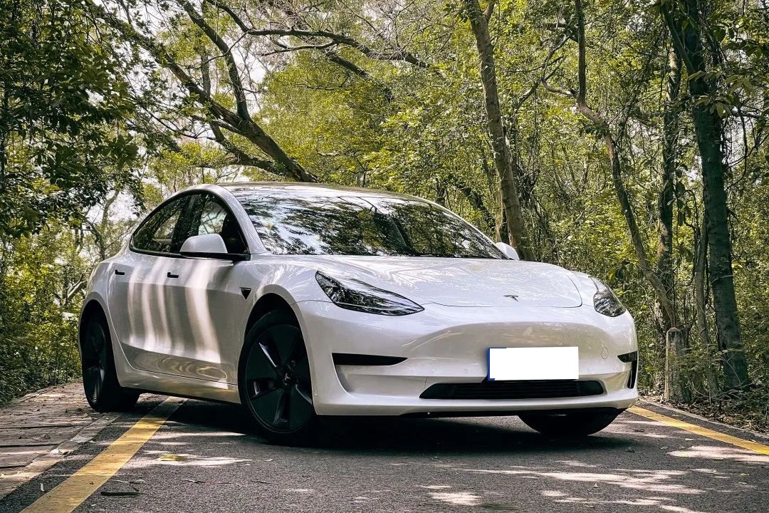 海豹与Model 3，作为消费者应该怎么选？